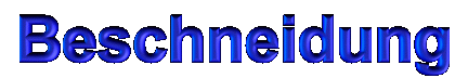 Beschneidung