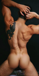 The Male Butt_TMG _F_014583