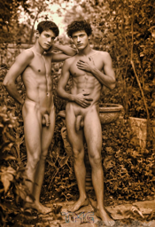 Young Men 18+ TMG _F_013629